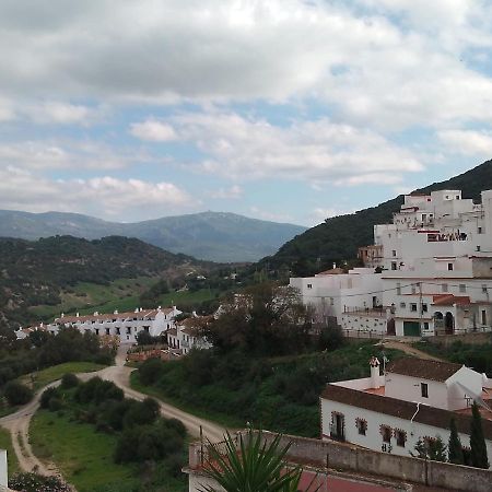 Casita Gazul Villa Alcalá de los Gazules Exteriör bild